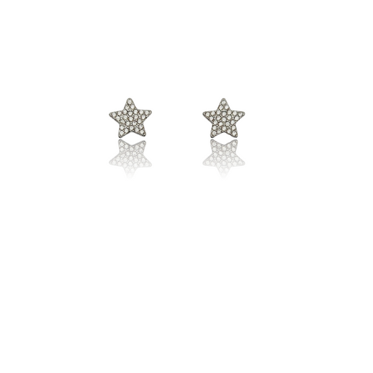 Orecchini stellina strass silver