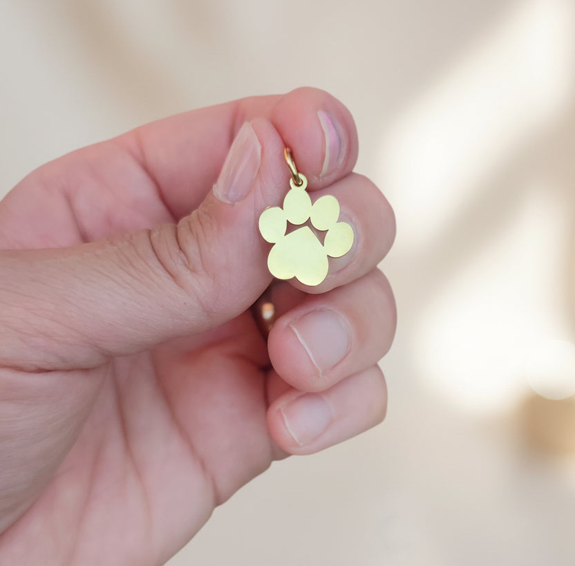 Charm zampa lucida gold