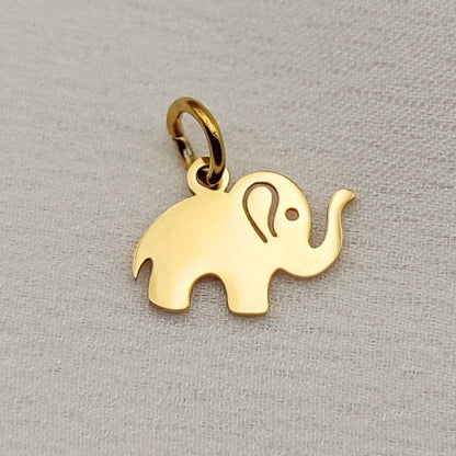 charms