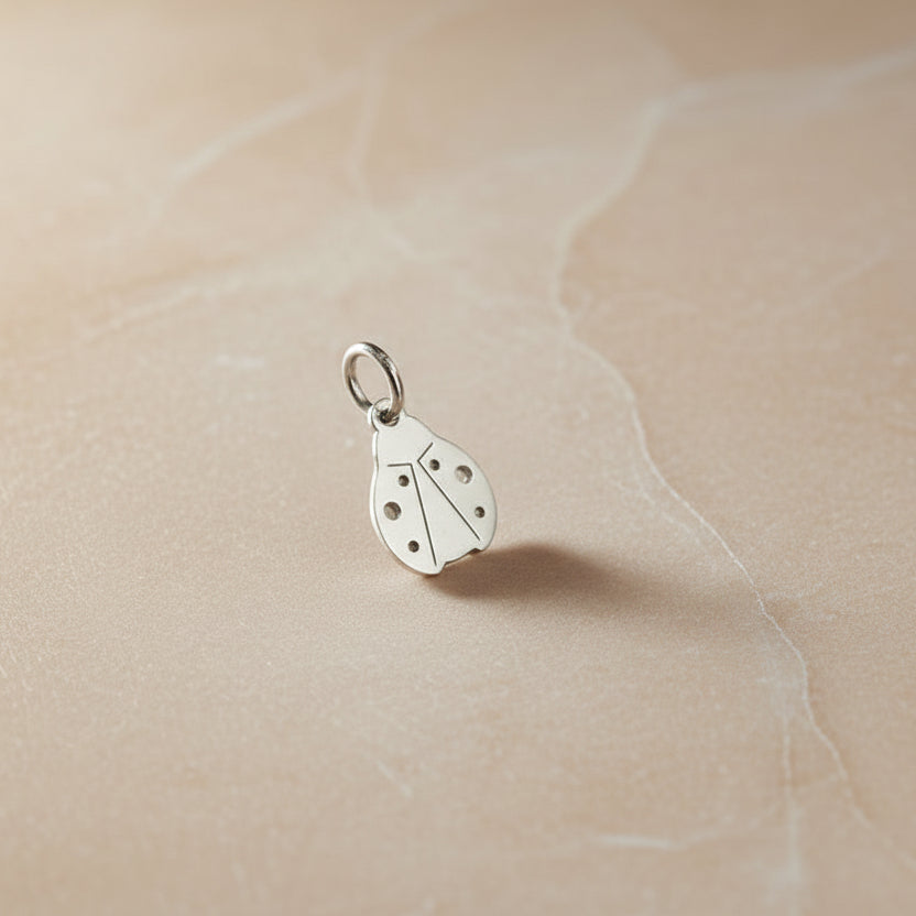 Ciondolo coccinella