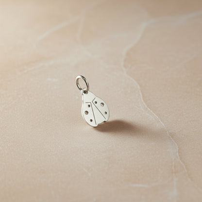 Ciondolo coccinella