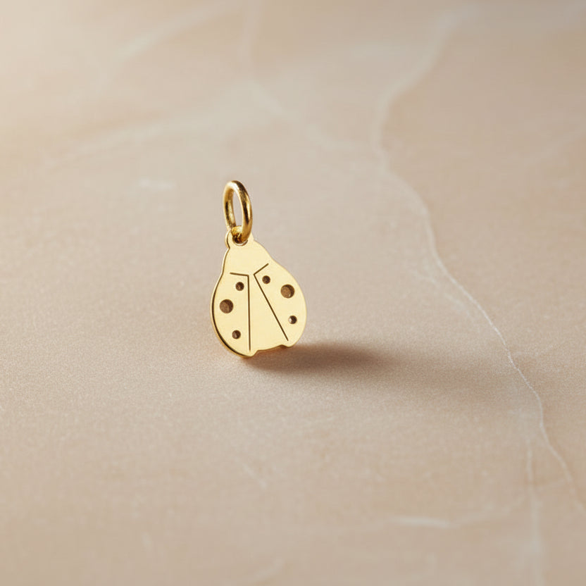 Ciondolo coccinella